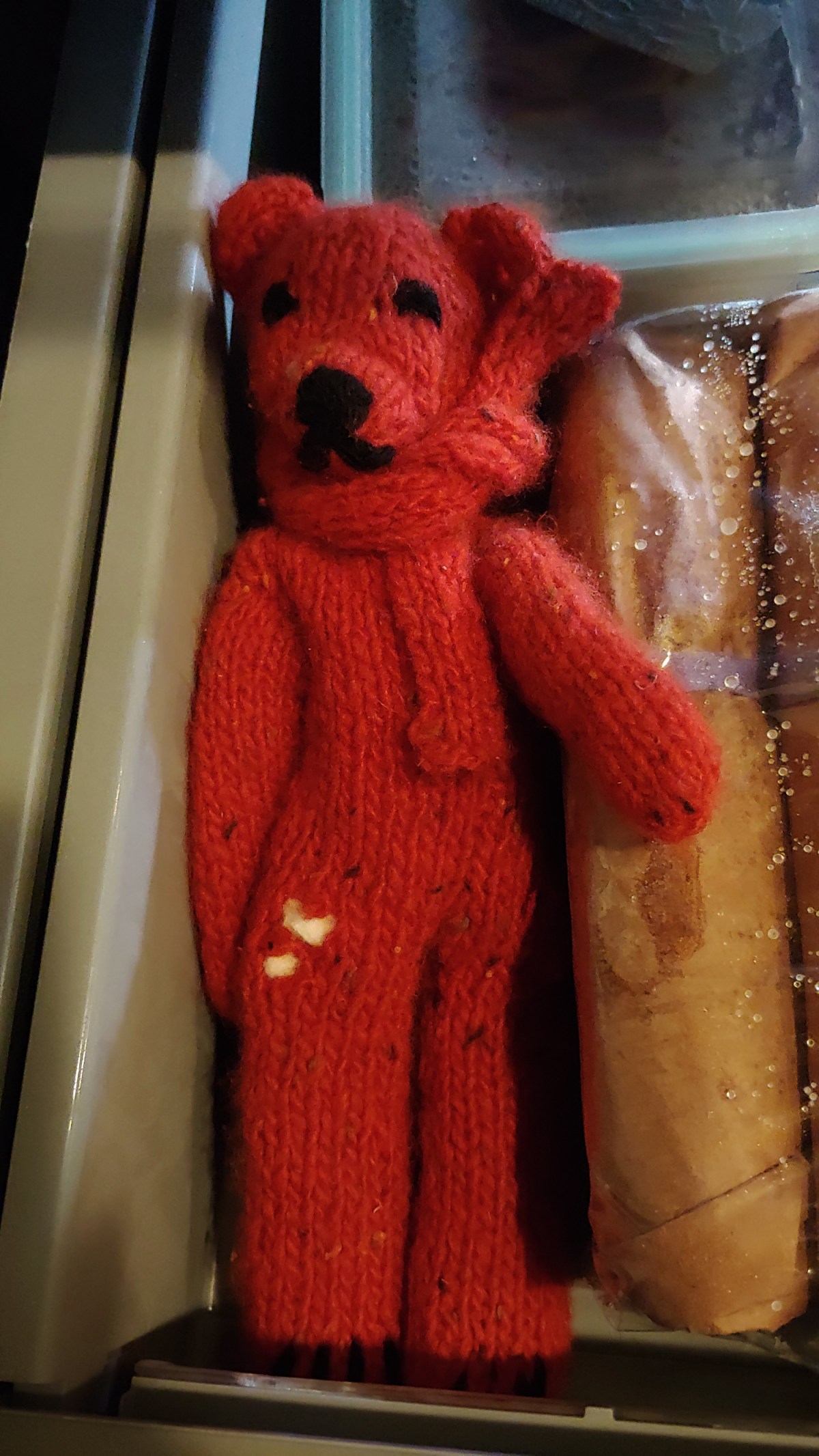 Poppy & the Carpet&nbsp;Beetles